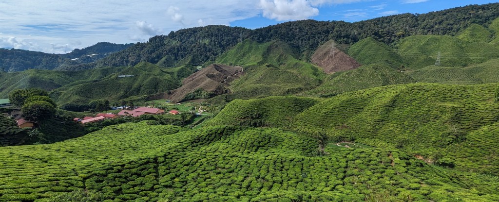 La beauté de Cameron&nbsp;Highlands