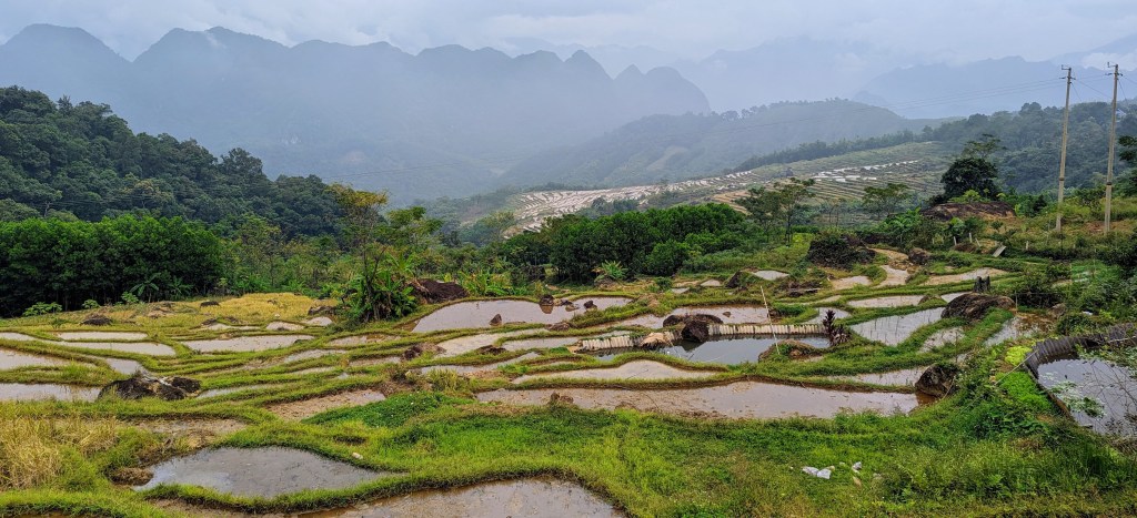 Balade de la réserve naturelle de Pu Luong à Mai&nbsp;Chau